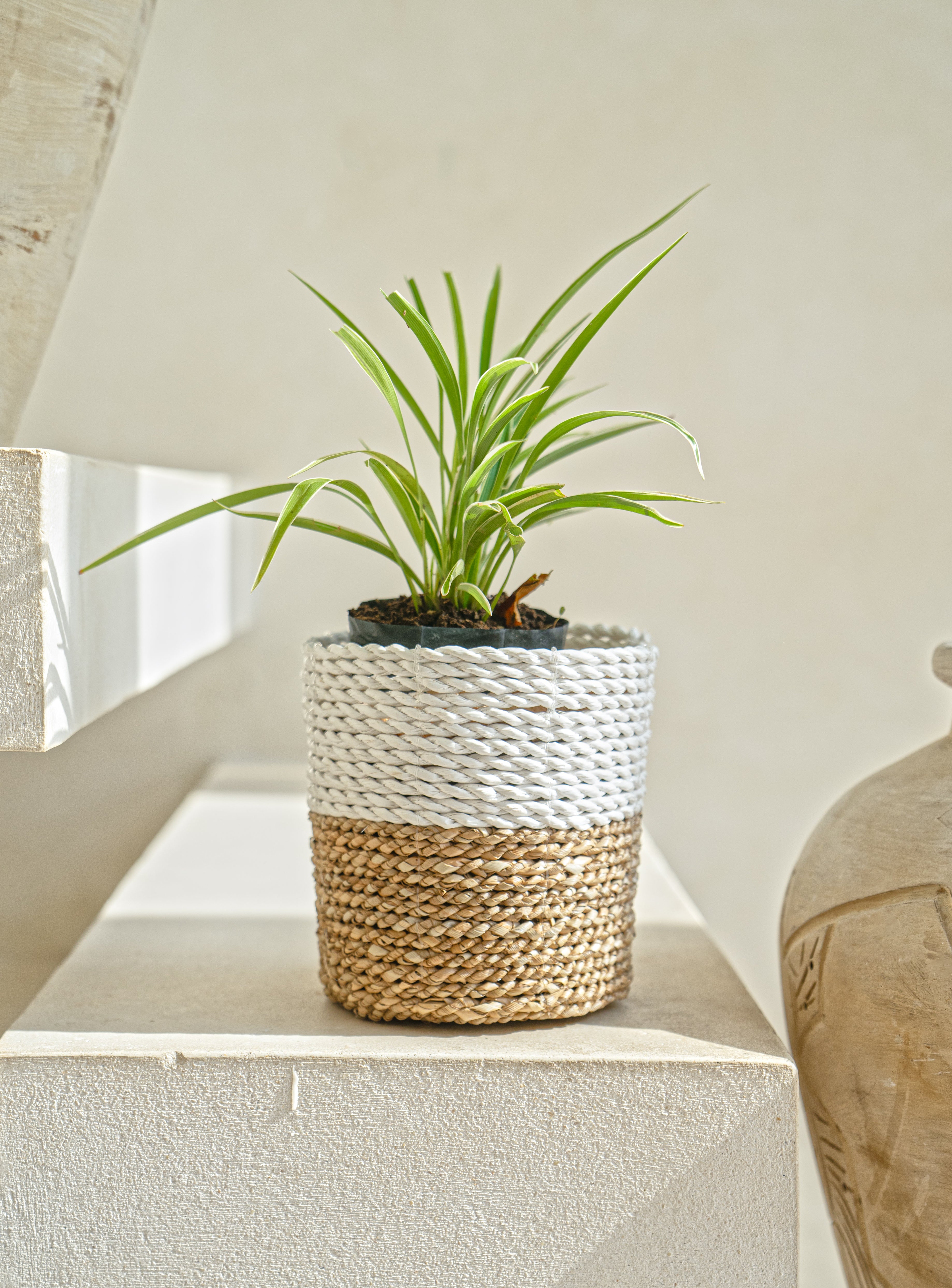 Beige and White Seagrass Planter Cover Basket