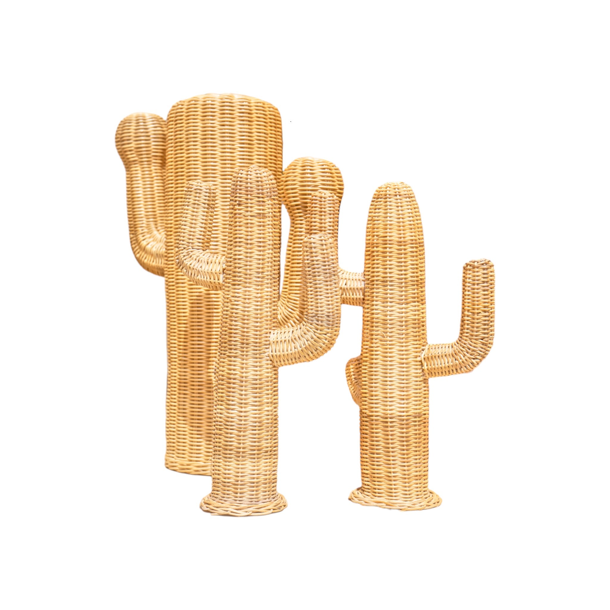 Small Rattan Cactus