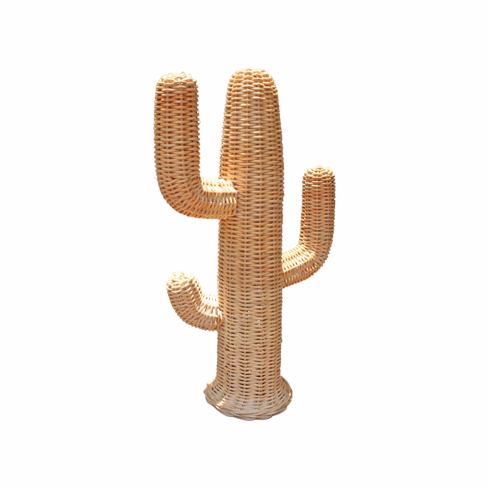 Small Rattan Cactus