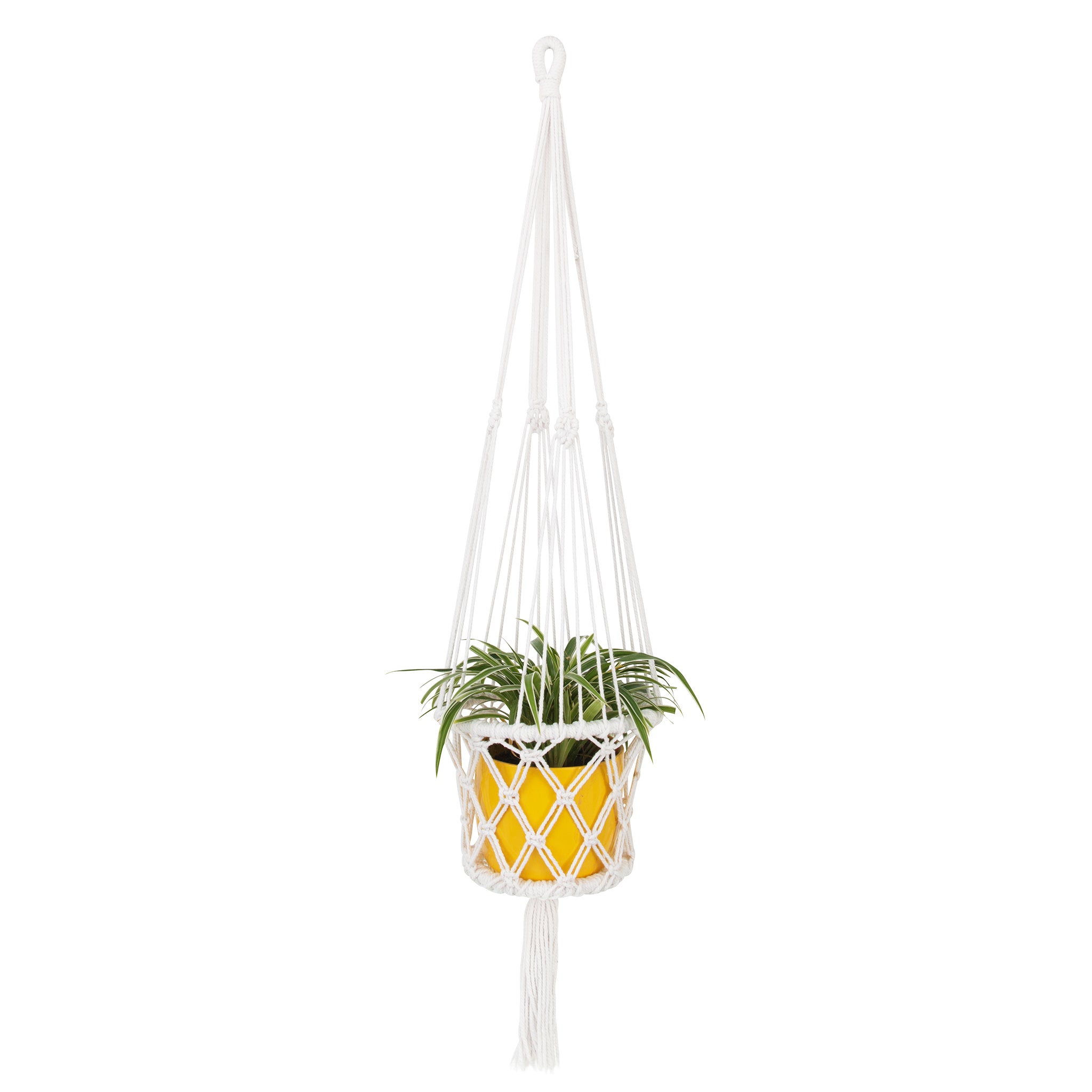 White Macrame Hanging Planter 