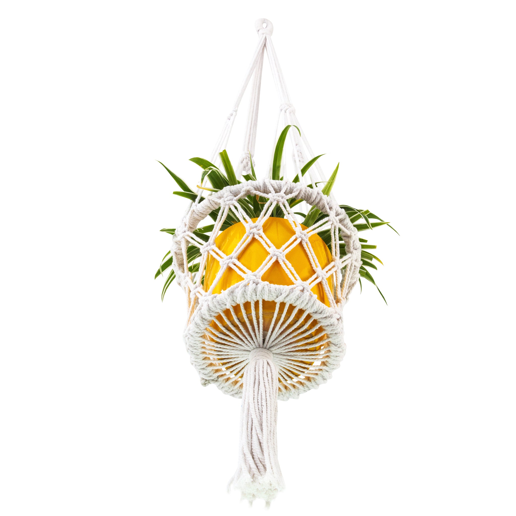 Bottom view of Macrame Plant Holder