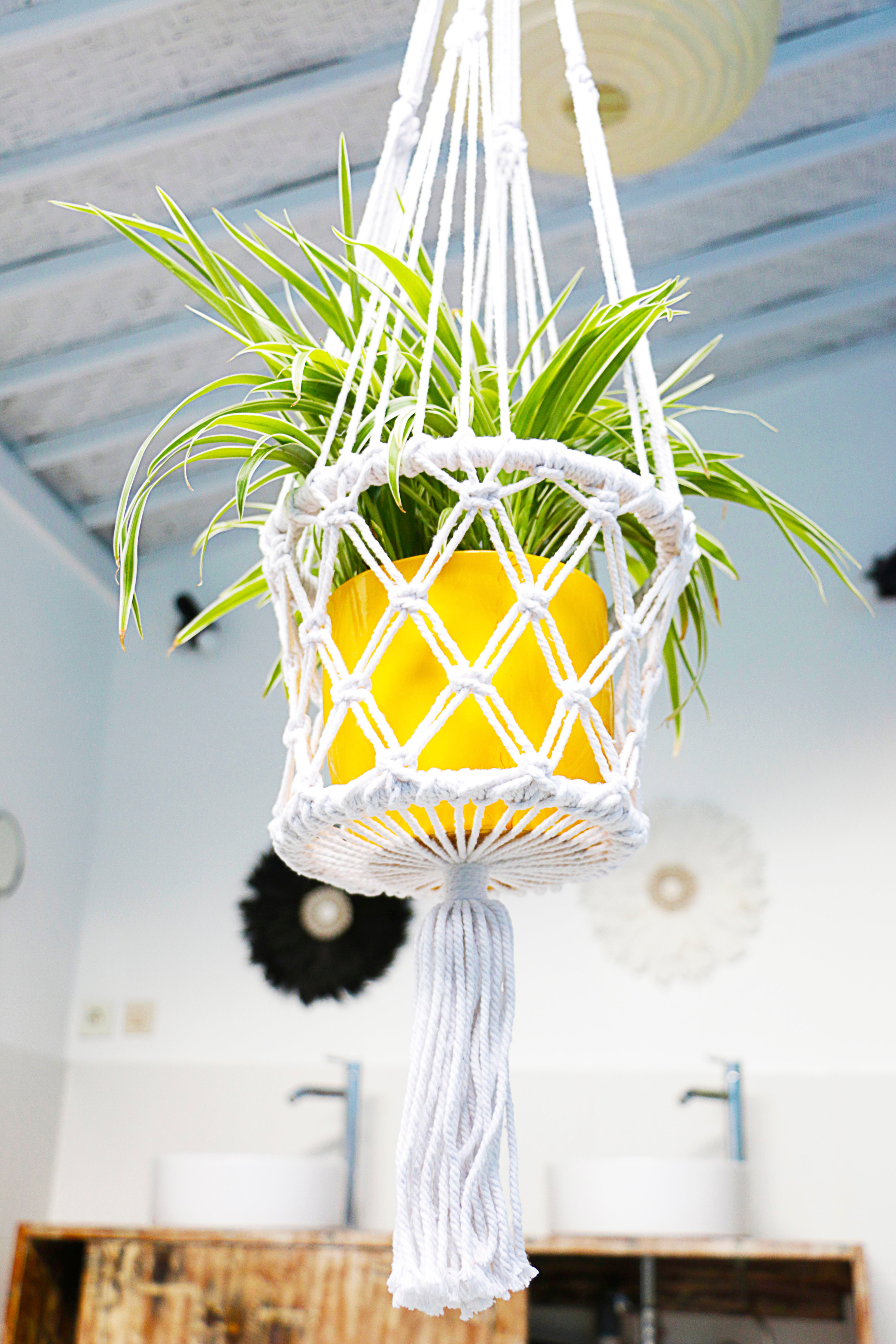 White Macrame Hanging Planter In Room