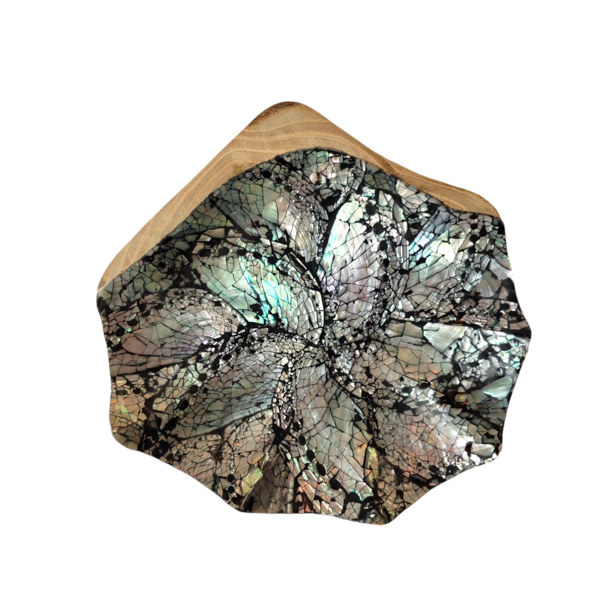 Abalone Shell Jewelry Dish